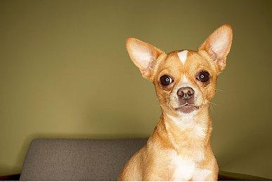 RIP！ 春乌拉拉最后一篇日记记载了对粉丝的感谢